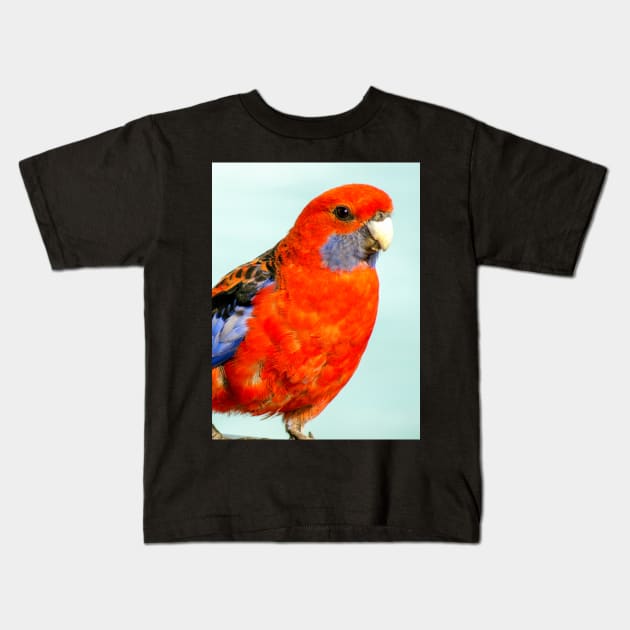 Crimson Rosella Kids T-Shirt by Upbeat Traveler
